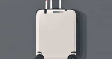 Best Roomy Carry On Luggage