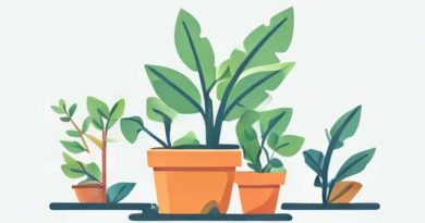 Best Time To Irrigate Plants