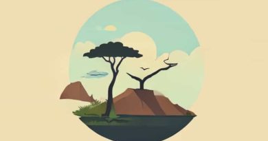 Best Time To Visit Tanzania