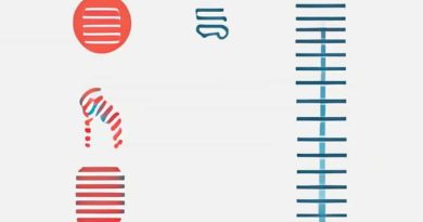 Beta Sheets And Alpha Helices