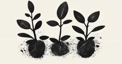 Black Sooty Mold On Plants