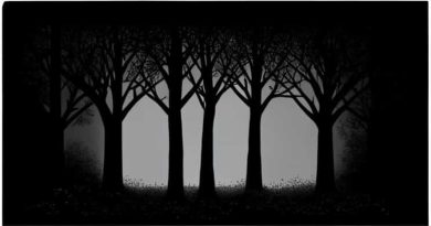 Black Sooty Mold On Trees