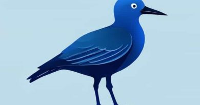 Blue Footed Marine Bird