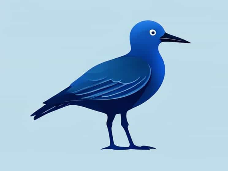 Blue Footed Marine Bird