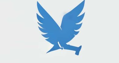 Blue Spruce Dovetail Saw