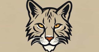 Bobcat Bumpkin Custom Lures