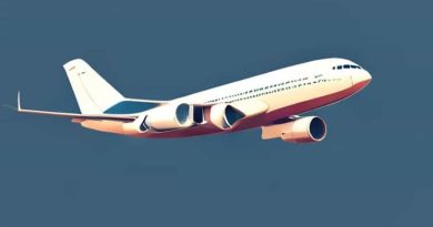 Boeing 737max 8 Passenger