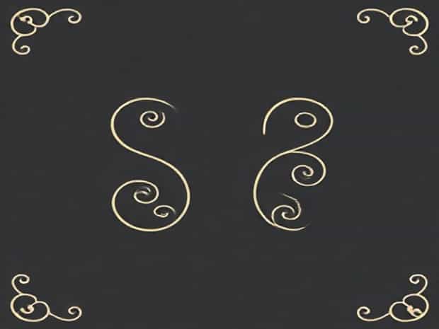 Border Viennese Whirls 2 Pack