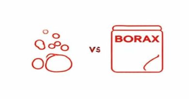 Boric Acid Vs Borax
