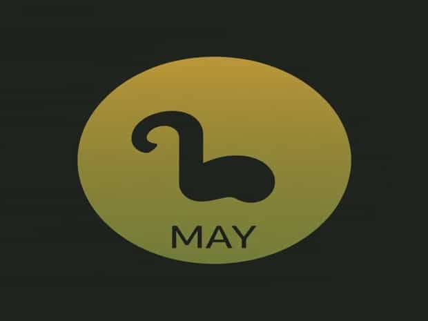 Born In May Zodiac Sign