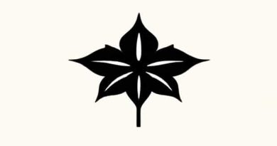 Botanical Name Of Jimsonweed