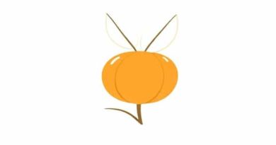 Botanical Name Of Tangelo