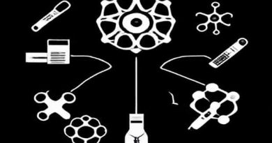 Branches Of Forensic Science