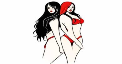 Brie And Nikki Bella