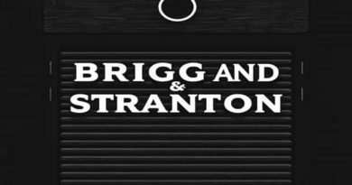 Briggs And Stratton Buckboard