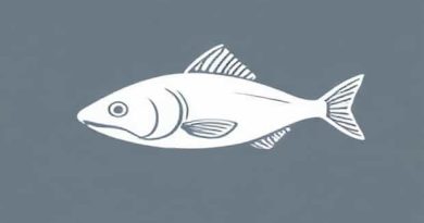 Bucktooth Tetra For Sale Uk