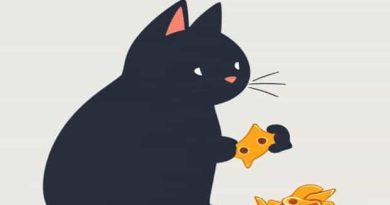 Can Cats Eat Goldfish Crackers