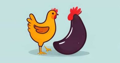 Can Chickens Eat Eggplant
