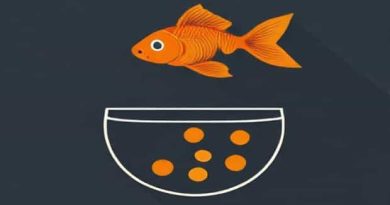 Can Dogs Eat Goldfish