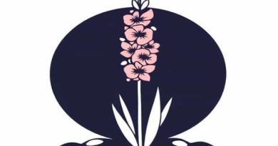 Can I Leave Gladiolus Bulbs In The Ground