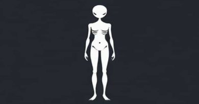 Can Mesomorphs Be Skinny