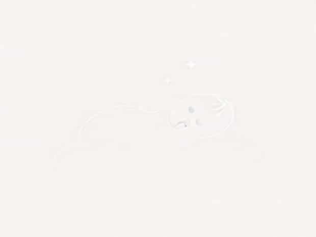 Can Newborns Be Propped Up