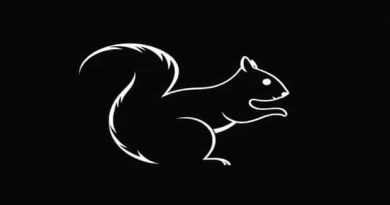 Can Squirrels Get Myxomatosis