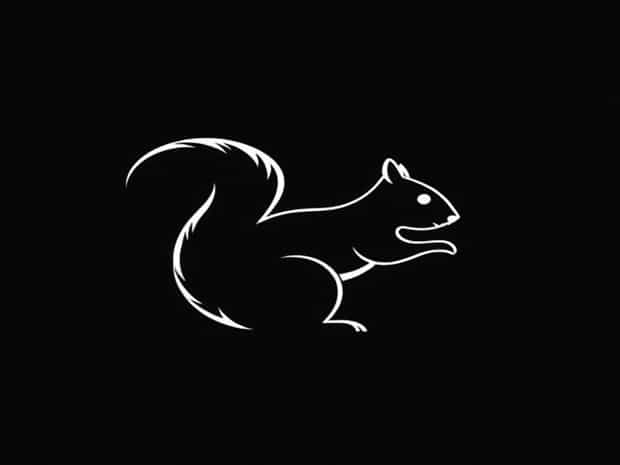 Can Squirrels Get Myxomatosis