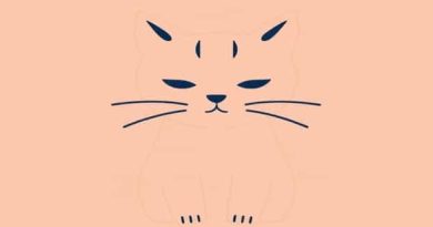 Can You Mummify A Cat