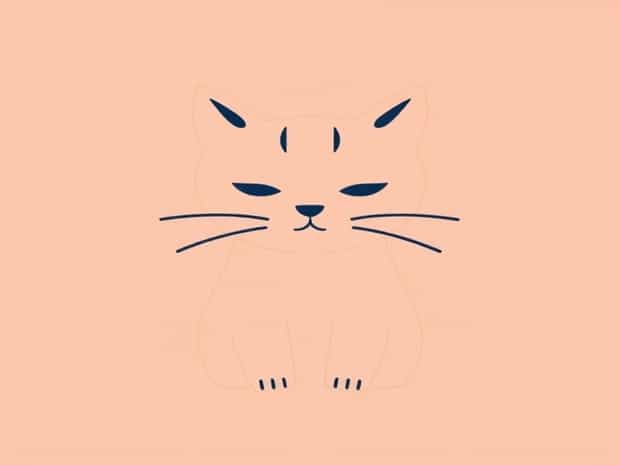 Can You Mummify A Cat