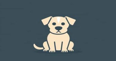 Can You Mummify A Dog