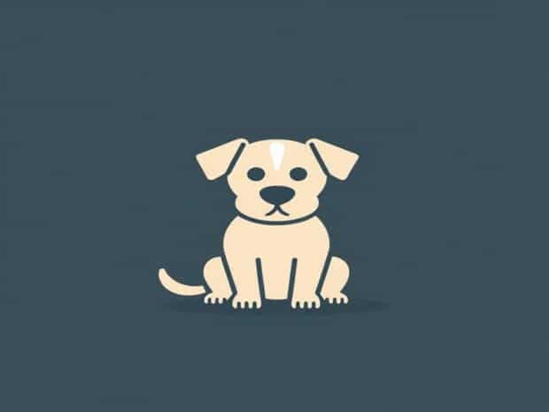 Can You Mummify A Dog