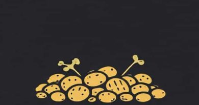 Can You Overcrowd Potatoes