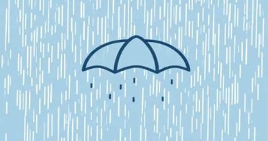 Can You Remember The Rain