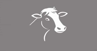 Can You Train A Cowlick?