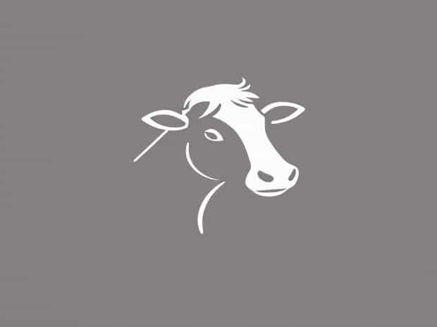 Can You Train A Cowlick?