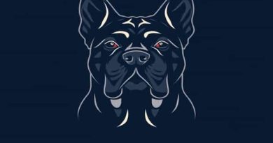 Cane Corso Cropped Ears