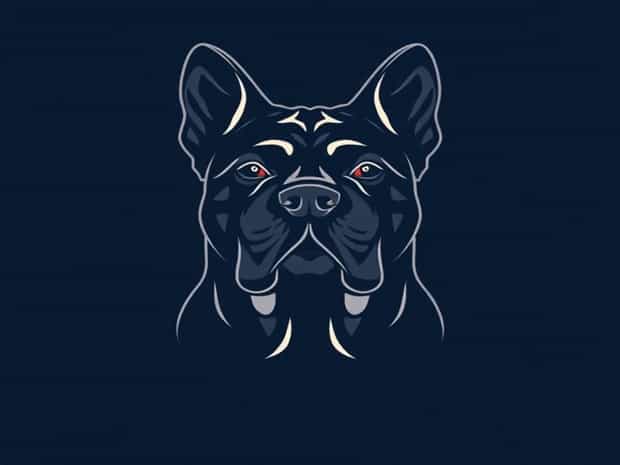 Cane Corso Cropped Ears