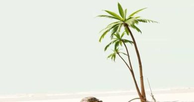 Cane Garden Beach Tortola