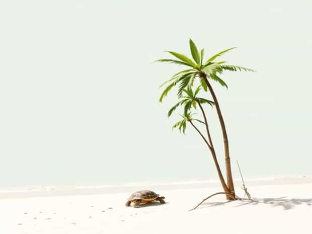 Cane Garden Beach Tortola