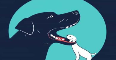 Canine Relationship In Primary Dentition