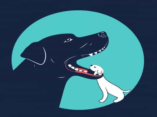 Canine Relationship In Primary Dentition