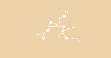 Canonical And Non-Canonical Wnt Pathway
