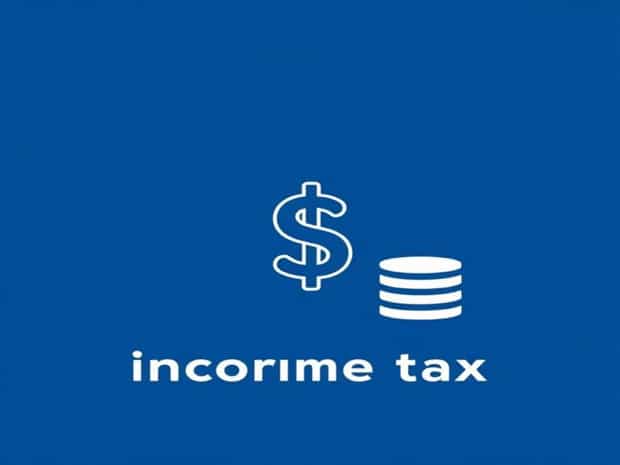 Cara Declare Income Tax