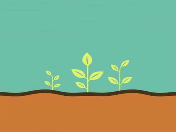 Carbon Sequestration In Soil