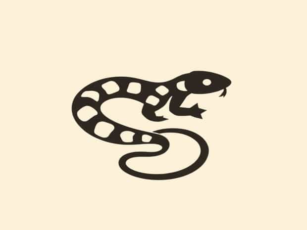 Caring For A Crotalus Lepidus Klauberi