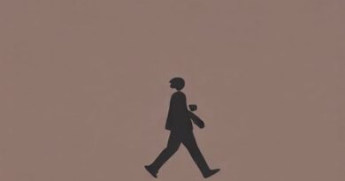 Carl Friedrik Carry-On X