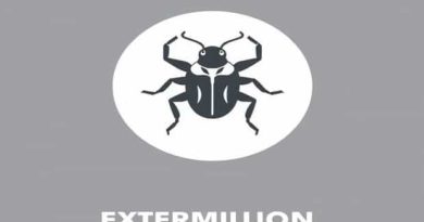 Carpet Beetle Extermination Cost
