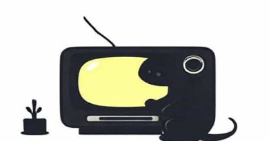 Cast Of The Sooty Show