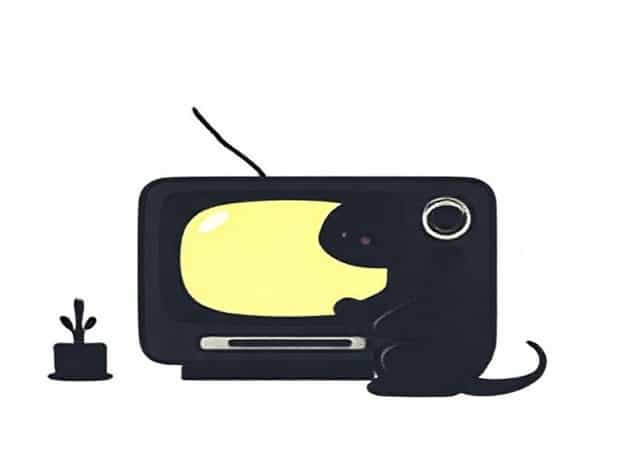 Cast Of The Sooty Show